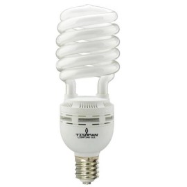 LAMPARA ESPIRAL 60W 6500K 8000H, TISHMAN